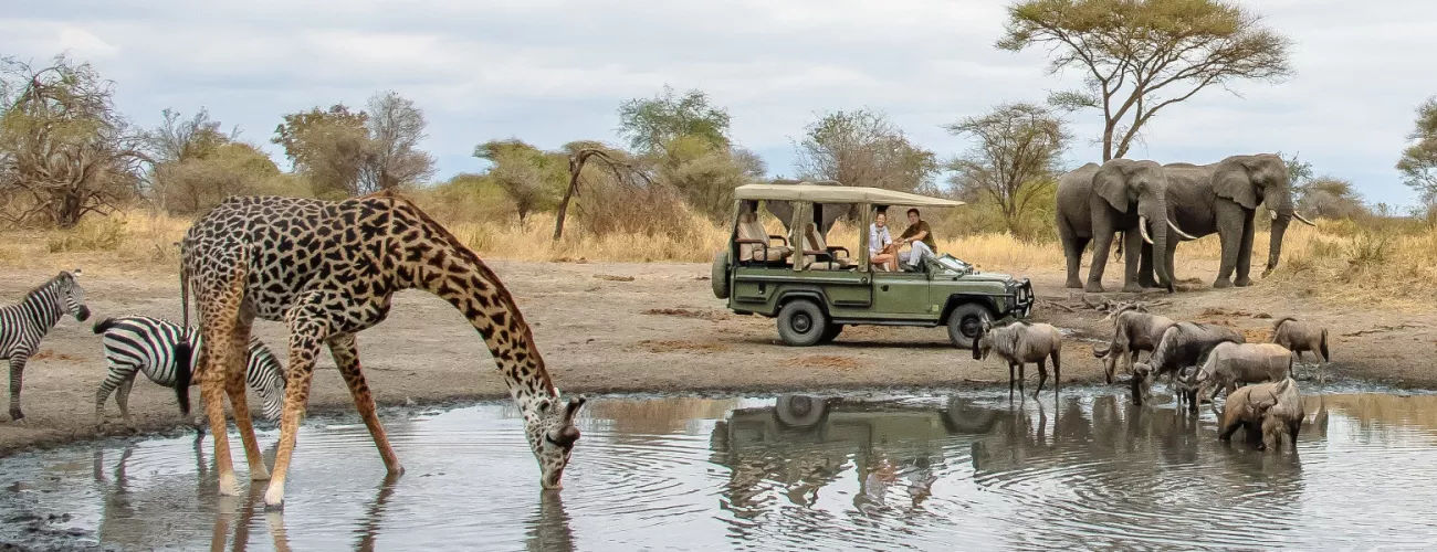 Experience Tanzania Luxury Safari & Tours