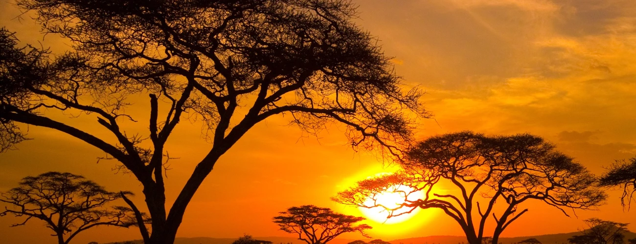 Luxury Serengeti Safari Lodges & Camps – 24 Recommended 