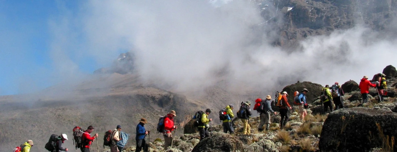 What is Kilimanjaro acclimatization?