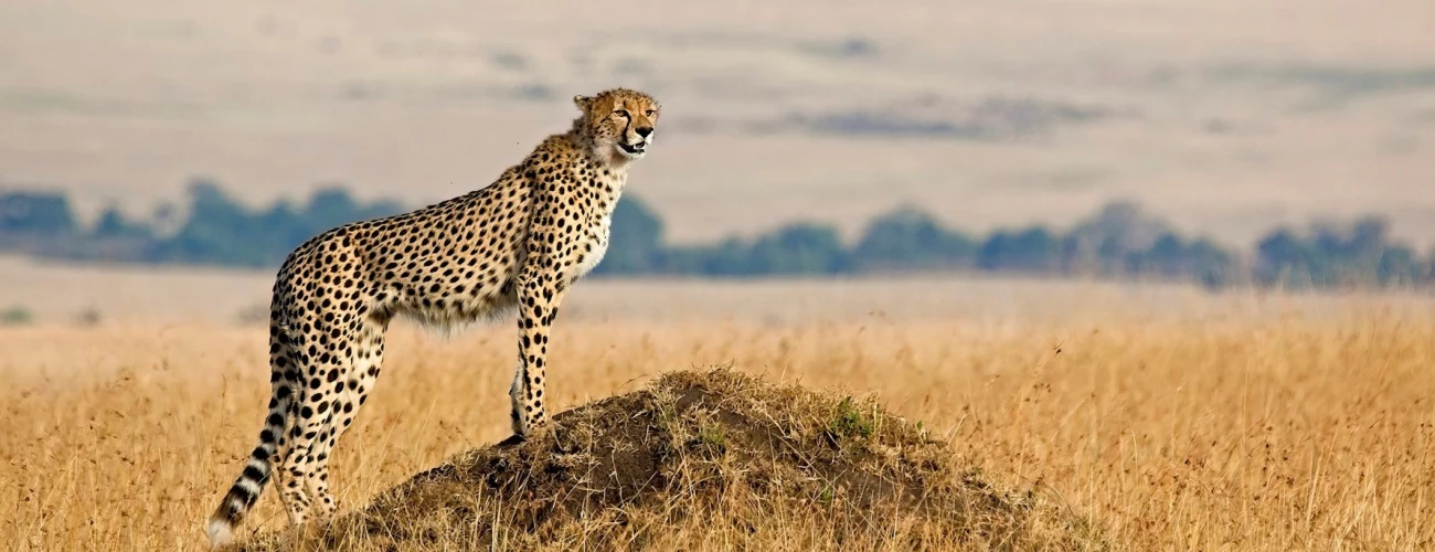 Weather & climate Serengeti National Park