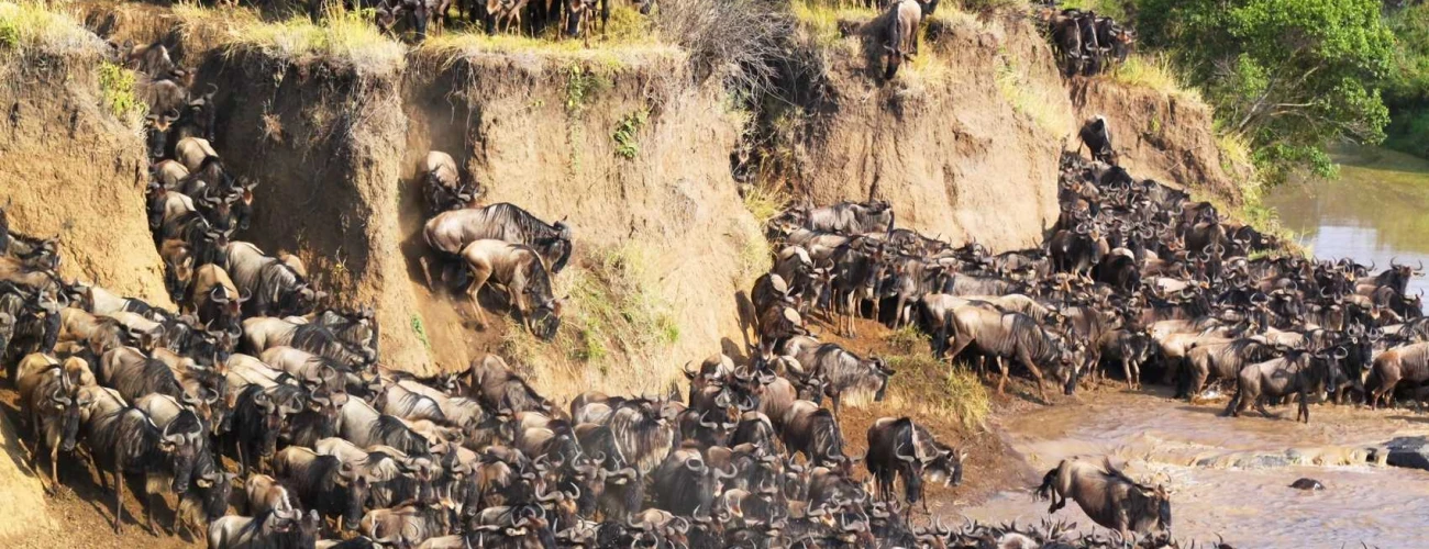 When is the best to visit Serengeti National Park?