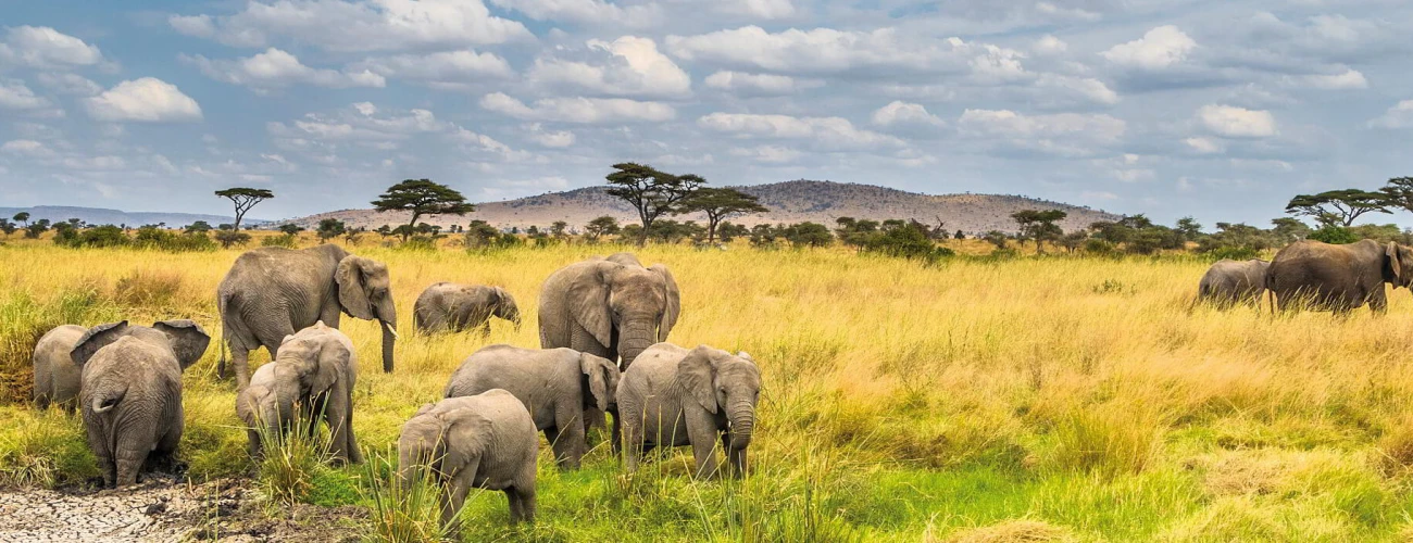 When is the best to visit Serengeti National Park?