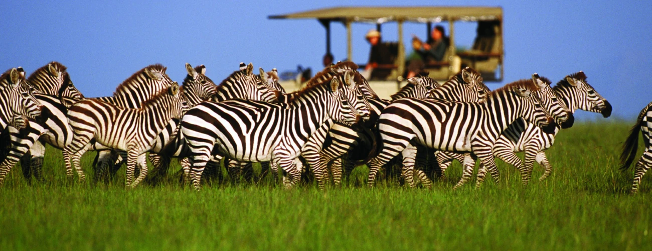 Go to Serengeti National Park