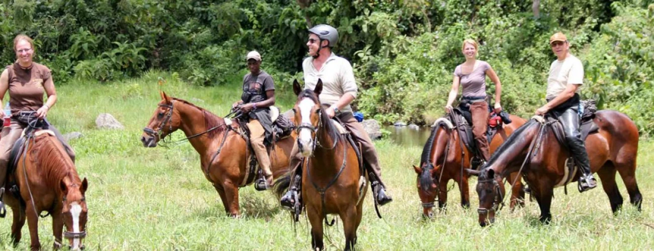 Horse Riding in Arusha