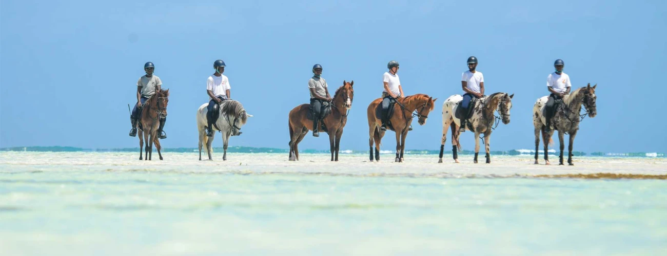 Horse Riding in Nungwi