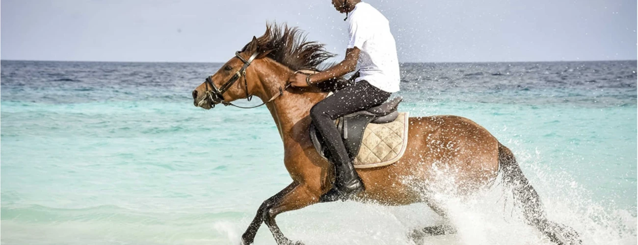 Horse Riding in Zanzibar