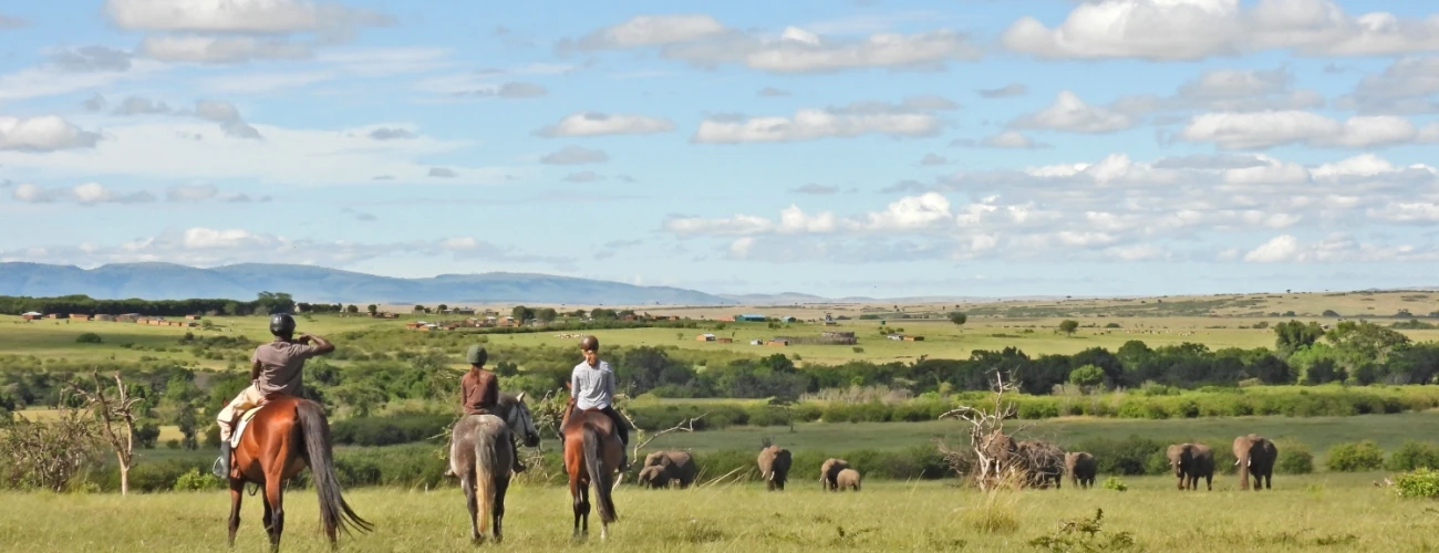 Horse Riding Safari in Kenya