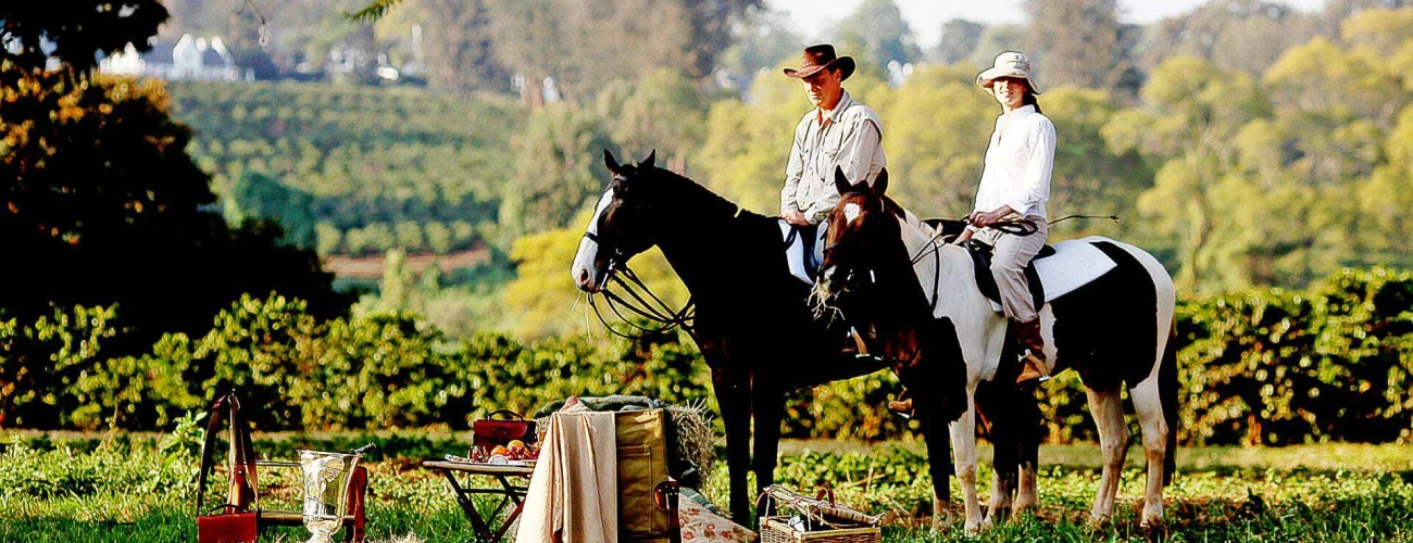 Horse Riding Safari in Tanzania