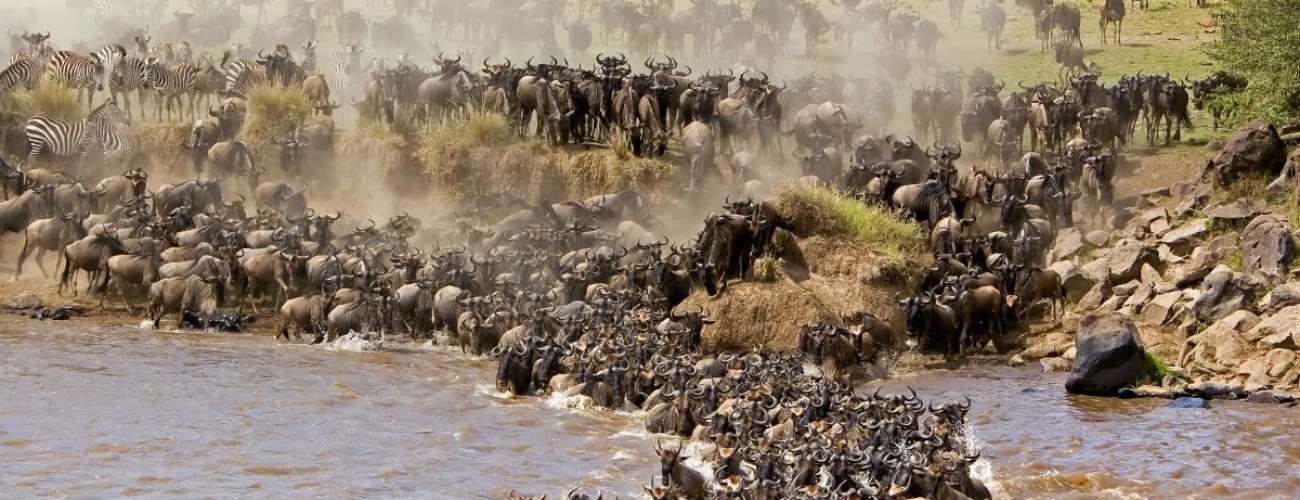 Serengeti Fly-In Safari