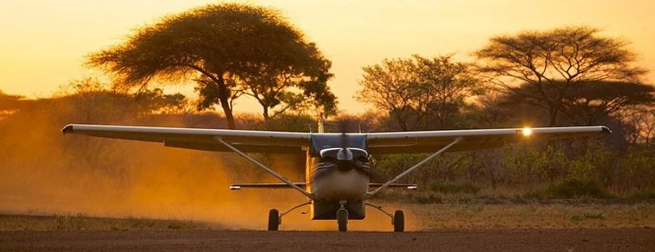 Serengeti Fly-In Safari