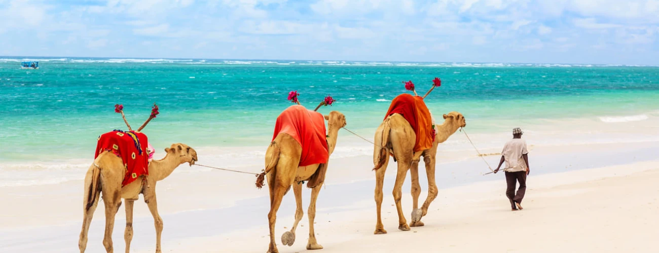 Tourist Activities to Do in Mombasa