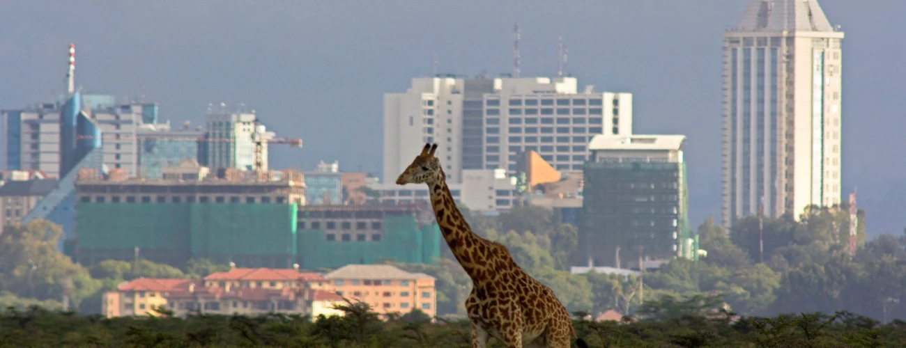 Tourist Activities to Do in Nairobi