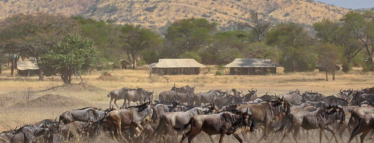 Western Serengeti