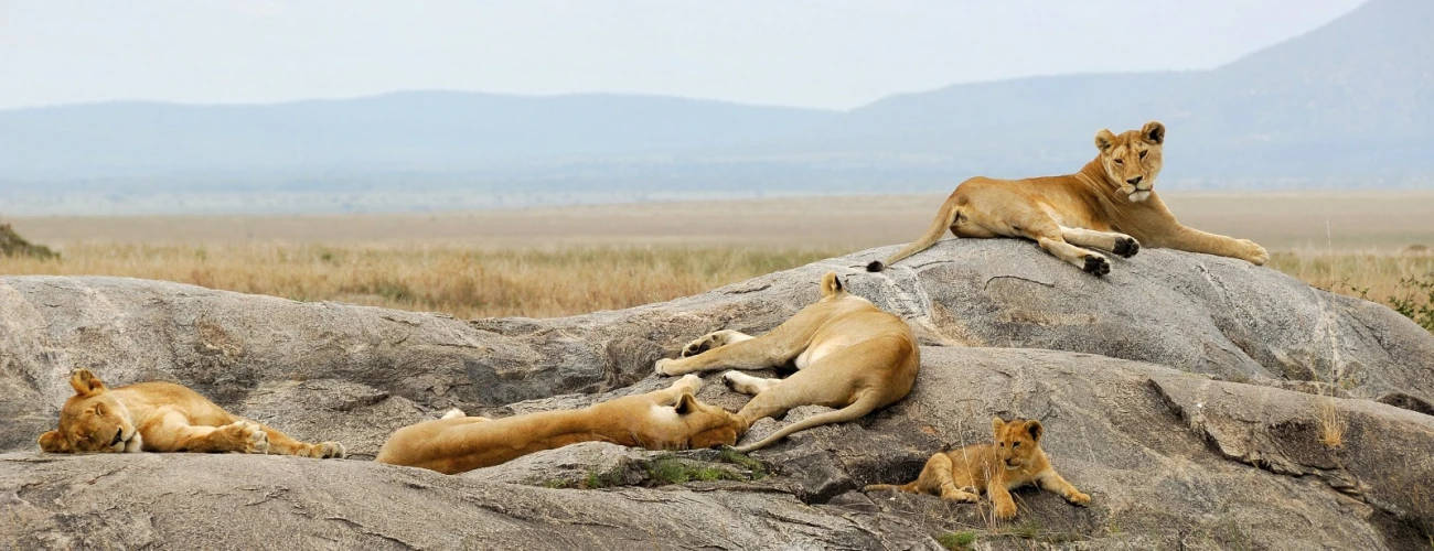 Western Serengeti