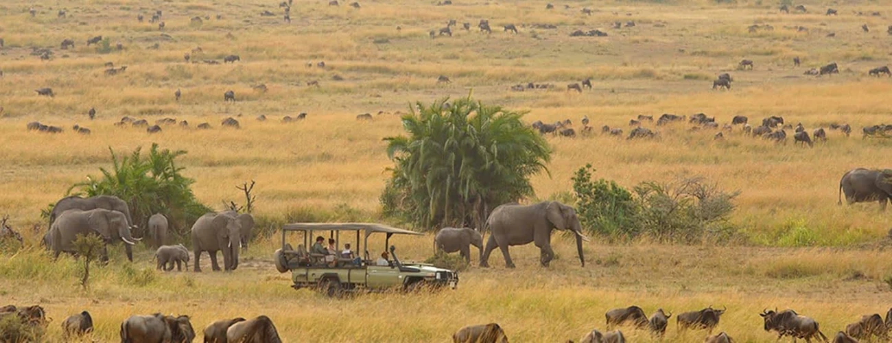 Western Corridor Serengeti