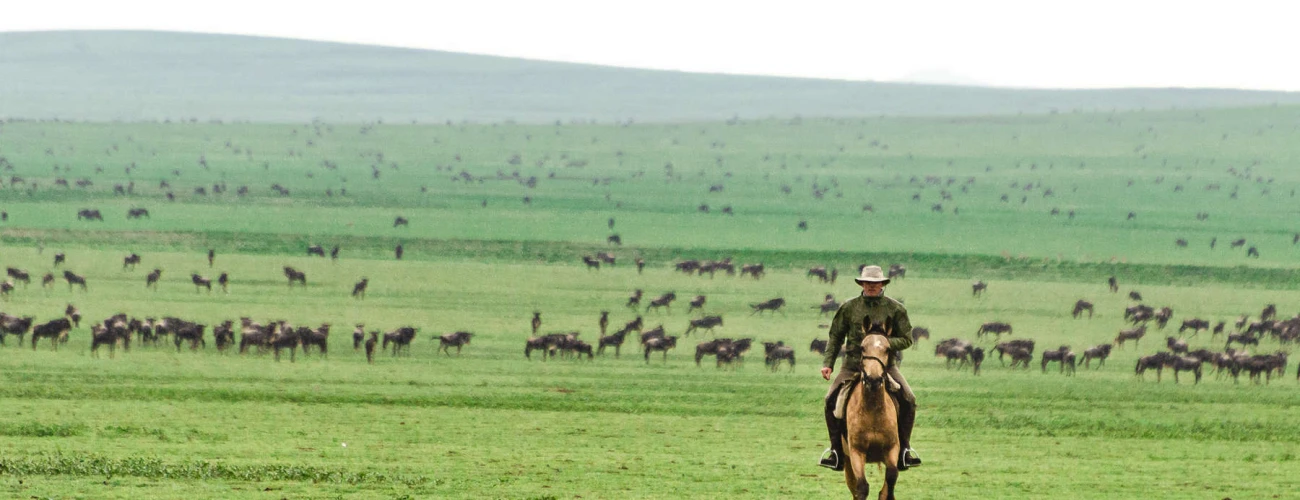 Why Serengeti Migration Safari On Horse-back