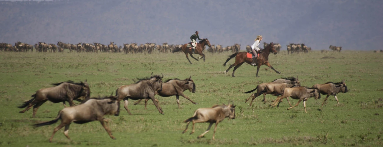 Why Serengeti Migration Safari On Horse-back