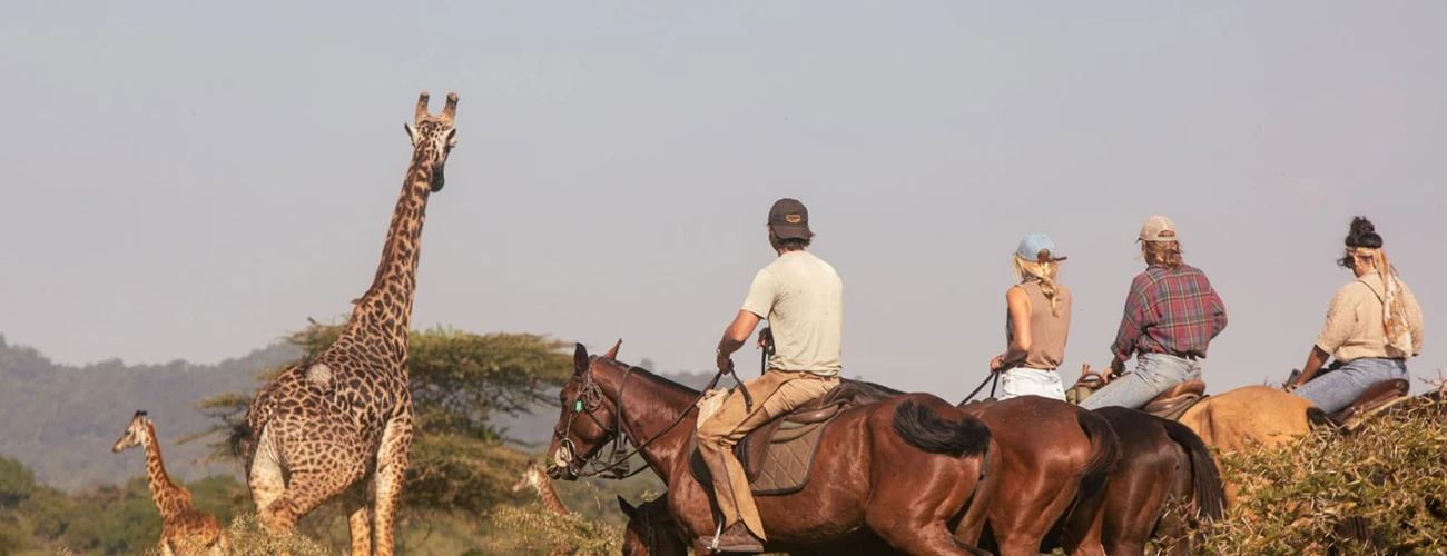 Horse riding with Kilimanjaro View