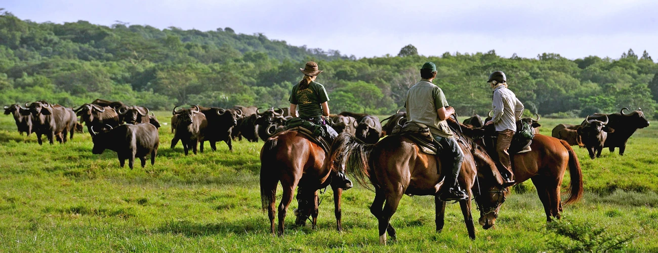 What to Pack for a Horseback Riding Safari