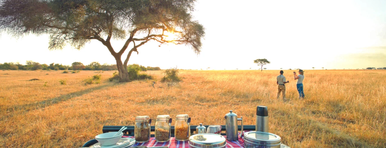 Why early morning game drive in Serengeti National Park