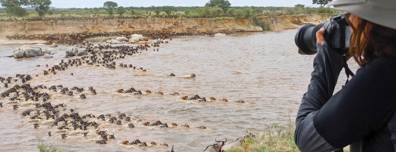 Serengeti Migration: The Dry Season (June to October)