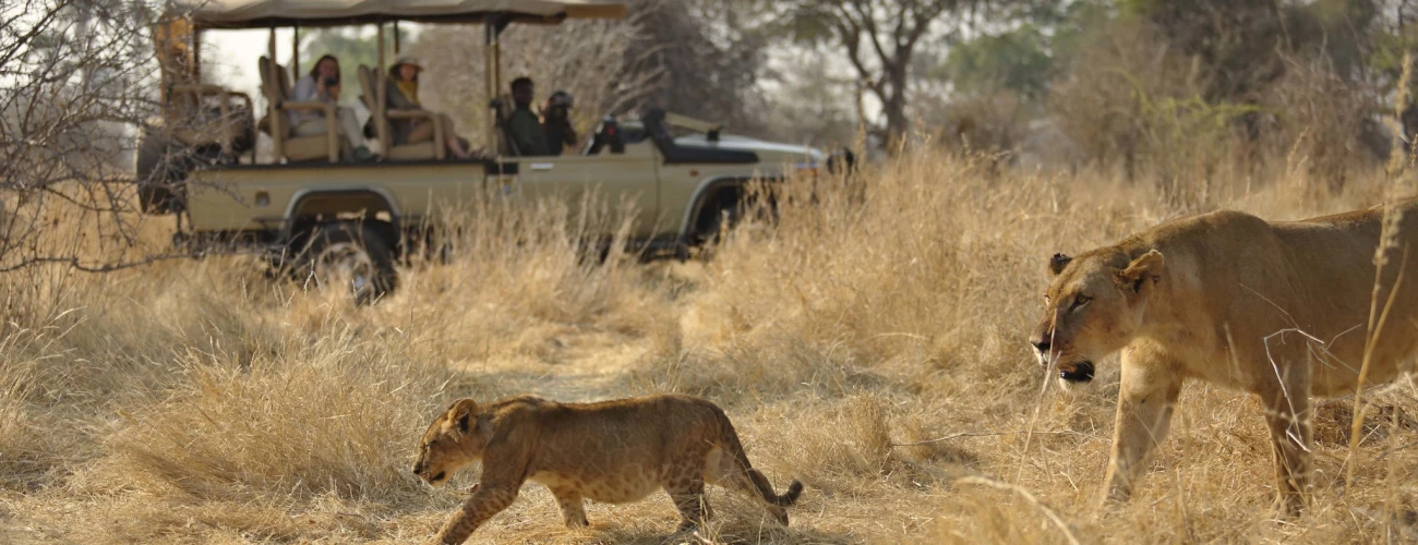 Why go to africa luxury safari