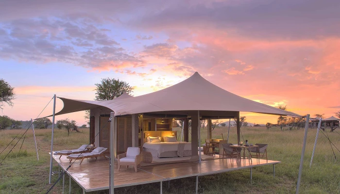 Serengeti Bushtops Luxury Camp