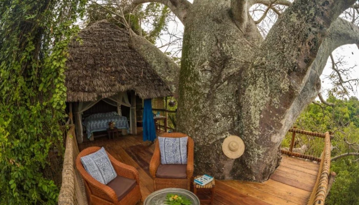 Chole Mjini Treehouse Lodge