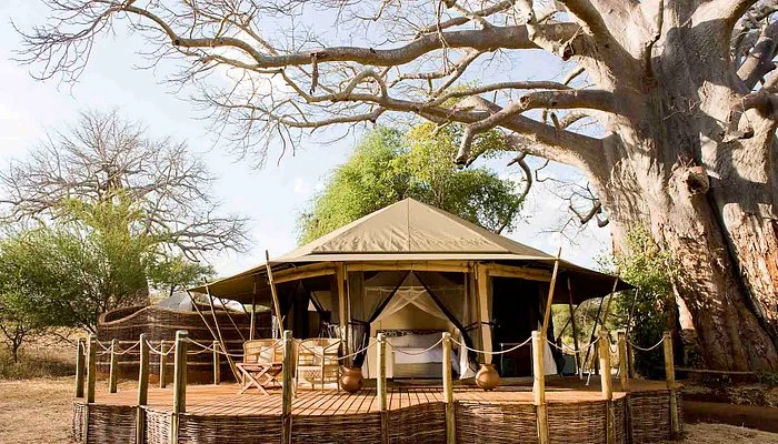 Sanctuary Swala Camp