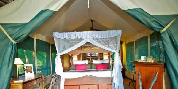 Samburu Intrepids Tented Camp 