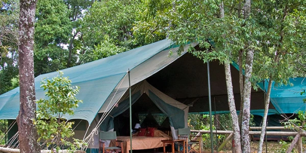 Governors' Private Camp