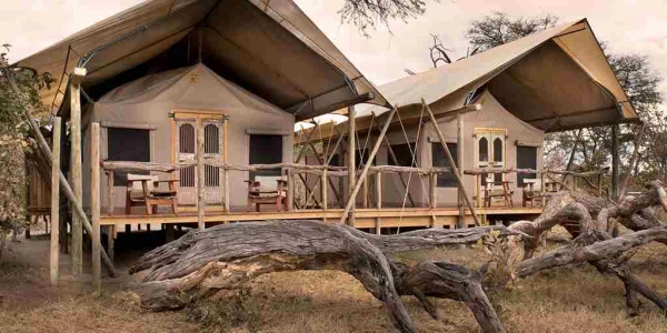 Somalisa Expeditions Tented Camp
