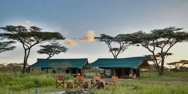 Nyikani Camp - Central Serengeti