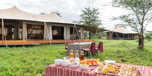 Acacia Bliss Serengeti Luxury Tented Camp