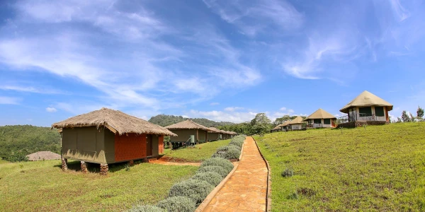 Karatu Simba Lodge 