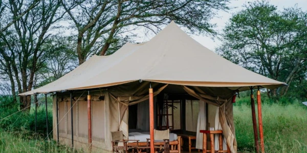 Zawadi Serengeti Camp