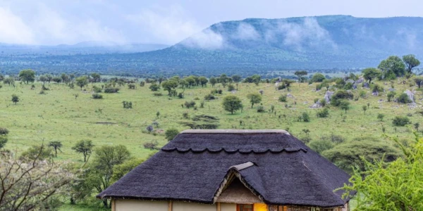 Serengeti Safari Lodge