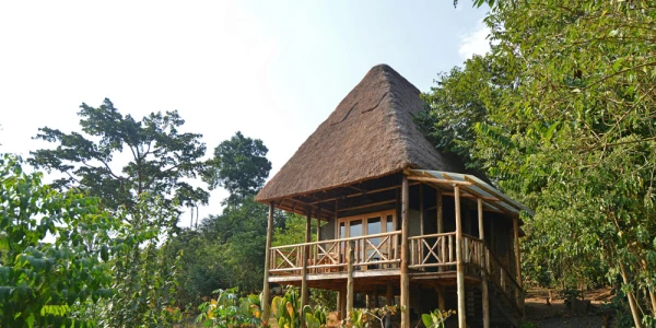 Bugoma Jungle Lodge