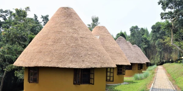 Kibale Guest Cottages