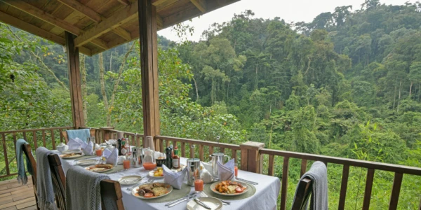 Four Gorillas Lodge