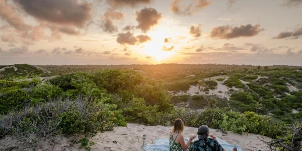 Sava Dunes