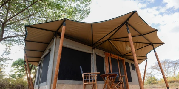 Safari Haven – Migration Camp: Luxury in the Wild