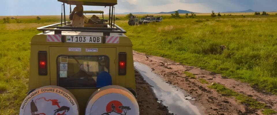 Ngorongoro conservation area