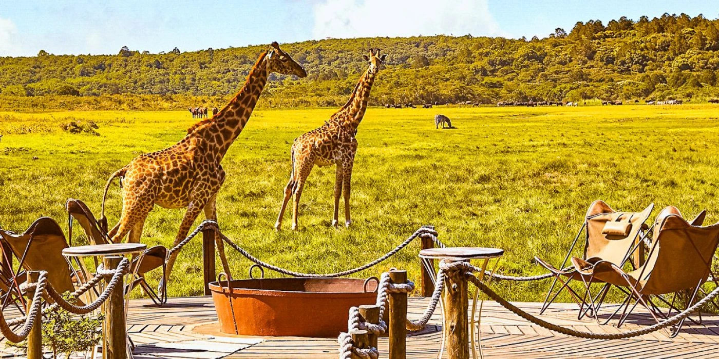 Serengeti national park