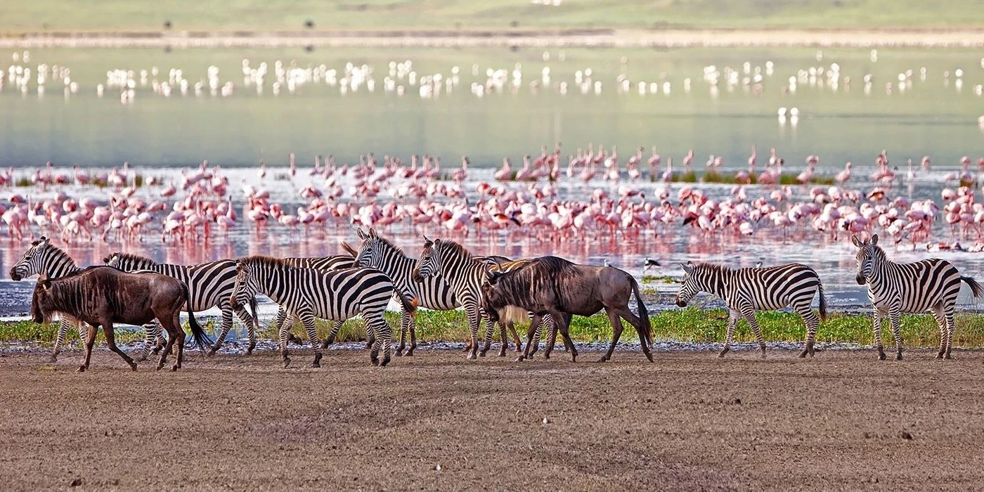 Lake manyara national park