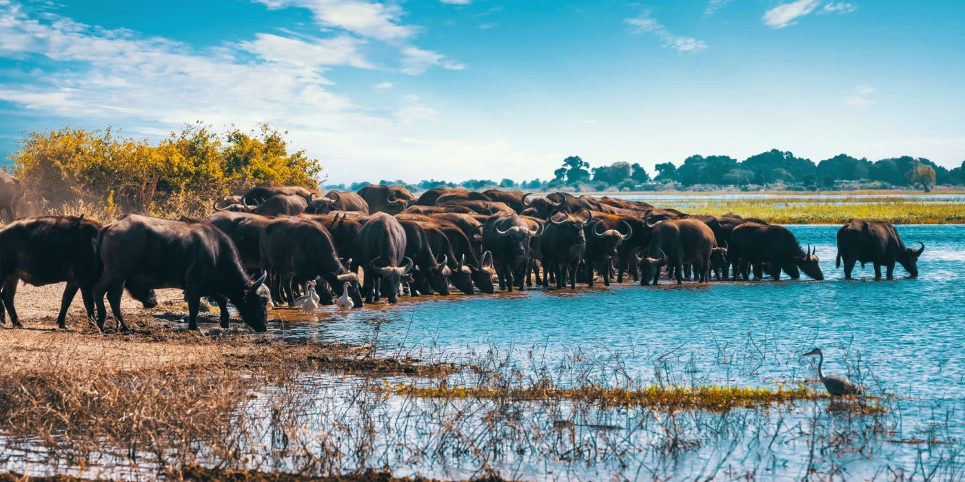 Lake manyara national park