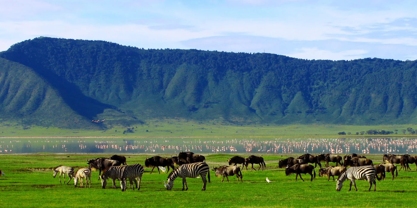 Ngorongoro conservation area