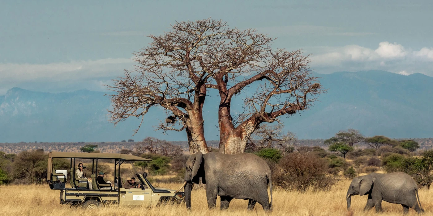 Tarangire national park