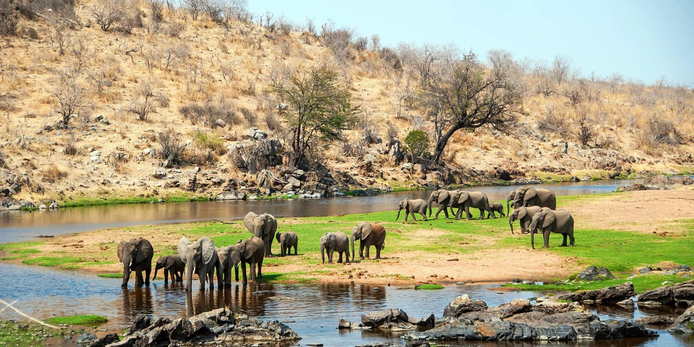 Ruaha national park