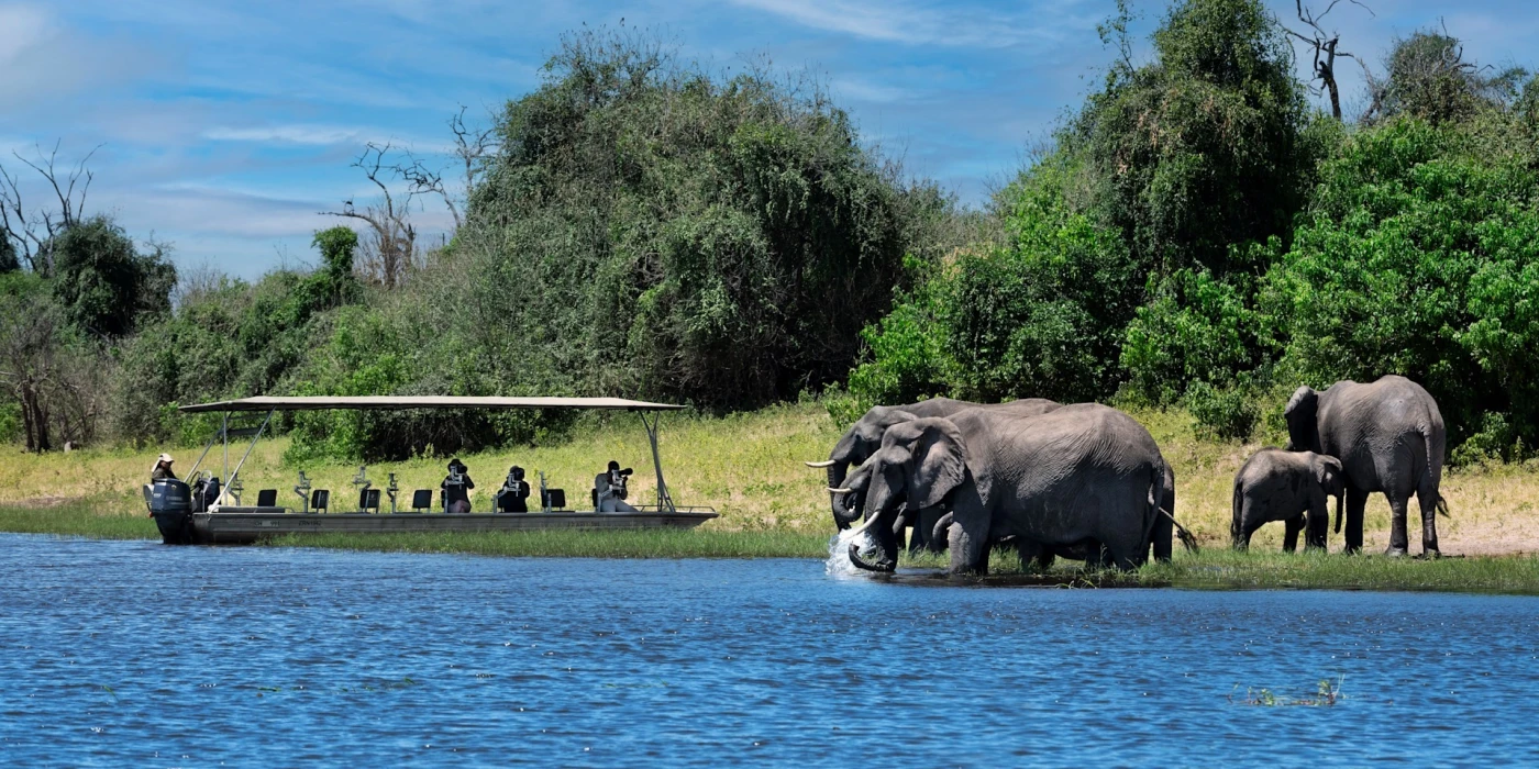 Chobe national park